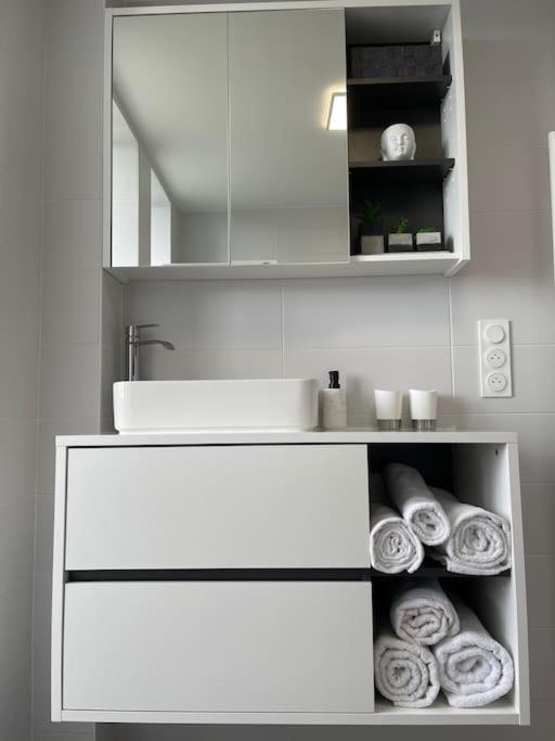 Appartement T3 En Centre-Ville De Thonon-Les-Bains Buitenkant foto