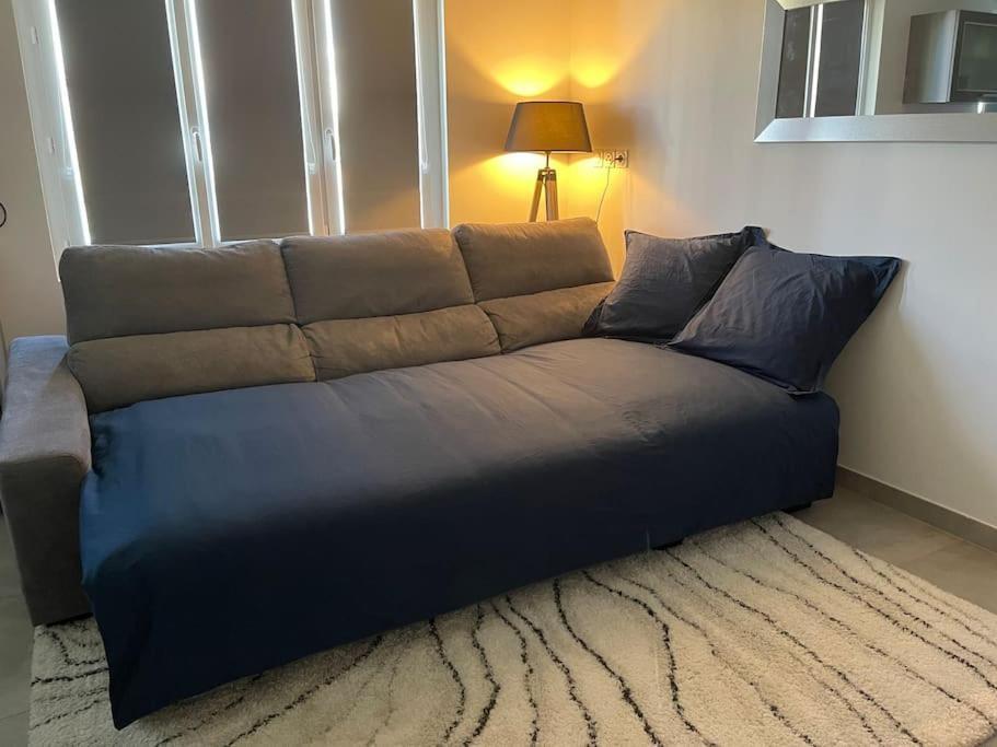 Appartement T3 En Centre-Ville De Thonon-Les-Bains Buitenkant foto