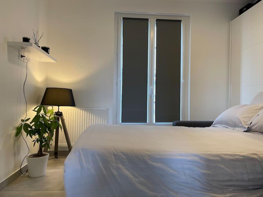 Appartement T3 En Centre-Ville De Thonon-Les-Bains Buitenkant foto